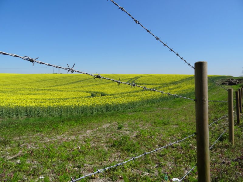 Wire Fencing Service