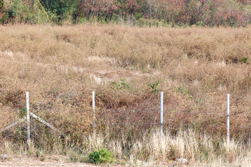 Property Boundary Secured